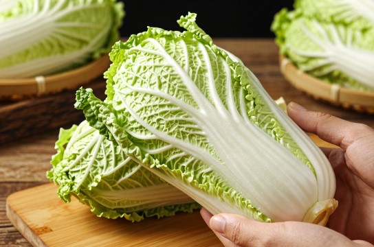 酉阳大白菜是哪里的特产?_重庆蔬菜特产介绍-展庭百科汇