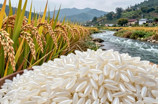 环江香糯-展庭百科汇