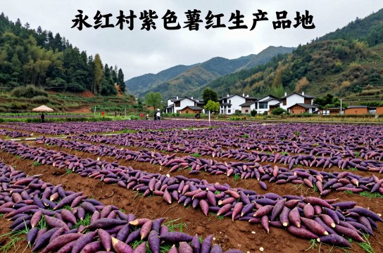 紫色红薯-展庭百科汇