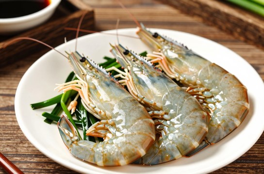 中国对虾是哪里的特产?_天津水产品介绍-展庭百科汇