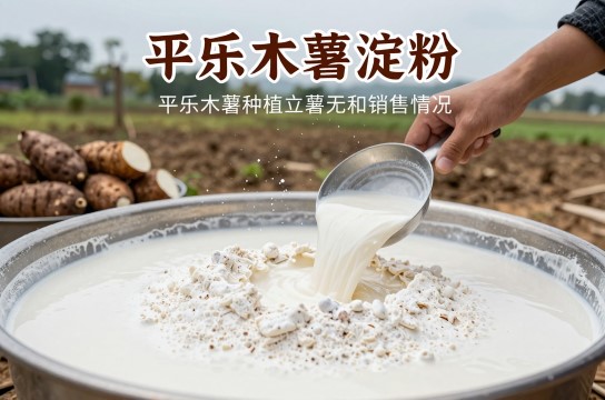 平乐木薯淀粉是哪里的特产?_广西农产加工介绍-展庭百科汇