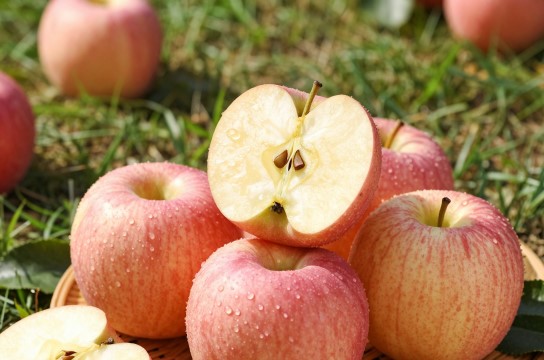 新农寒富苹果-展庭百科汇