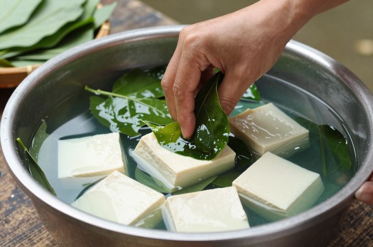 观音豆腐