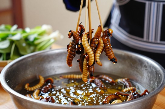 肉芽是哪里的特产?_云南美食特产介绍-展庭百科汇