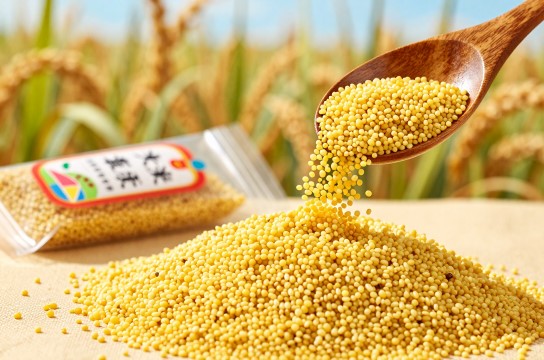 要路沟小米-展庭百科汇