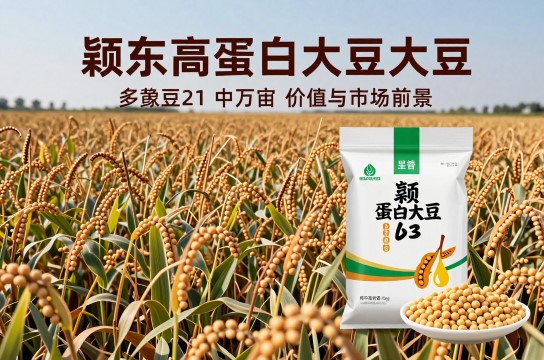 优质高蛋白大豆