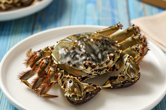 黃河口毛蟹-展庭百科汇