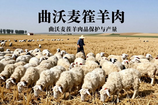 曲沃麦茬羊肉