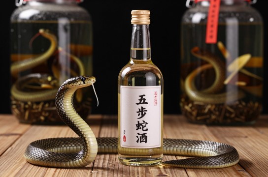 彭水五步蛇酒