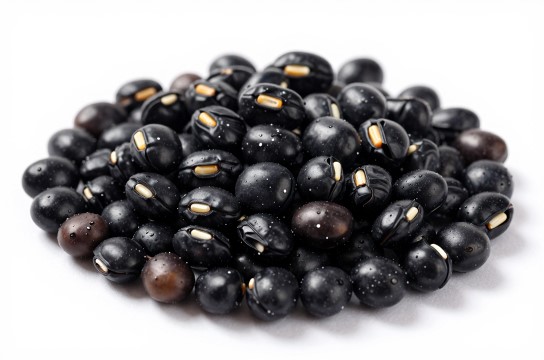 明水黑豆-展庭百科汇