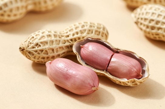 兰考花生是哪里的特产?_河南农产品介绍-展庭百科汇