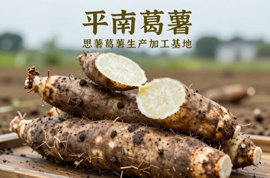 平南葛薯是哪里的特产?_广西农产特产介绍-展庭百科汇