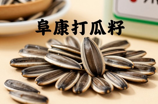 阜康打瓜籽是哪里的特产?_新疆农产介绍-展庭百科汇