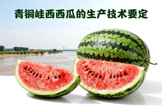 青铜峡西瓜是哪里的特产?_宁夏农产品介绍-展庭百科汇